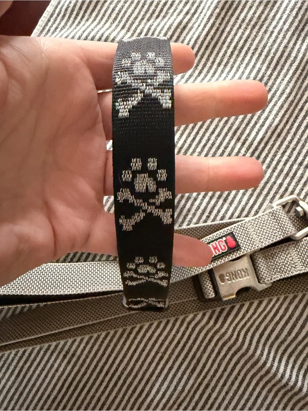 KONG Gray Reflective Dog Leash with Silver Clip and Lupine collar.